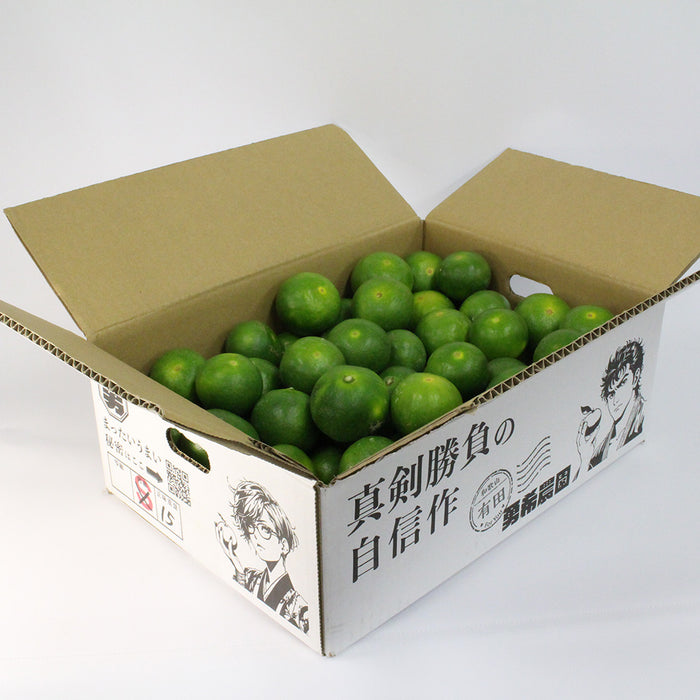 日々、真剣勝負のみかん農家が育てた 極早生みかん YN26 5kg【和歌山県有田川産】