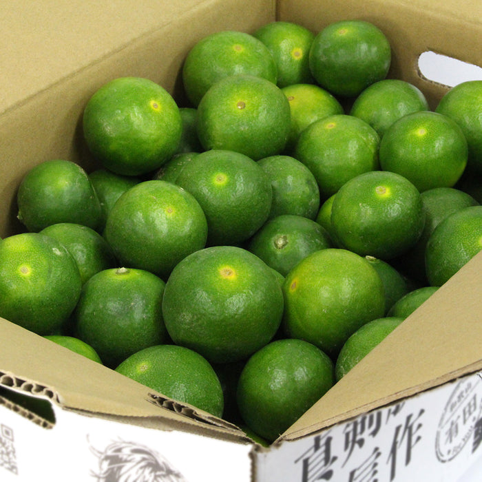 日々、真剣勝負のみかん農家が育てた 極早生みかん YN26 3kg【和歌山県有田川産】