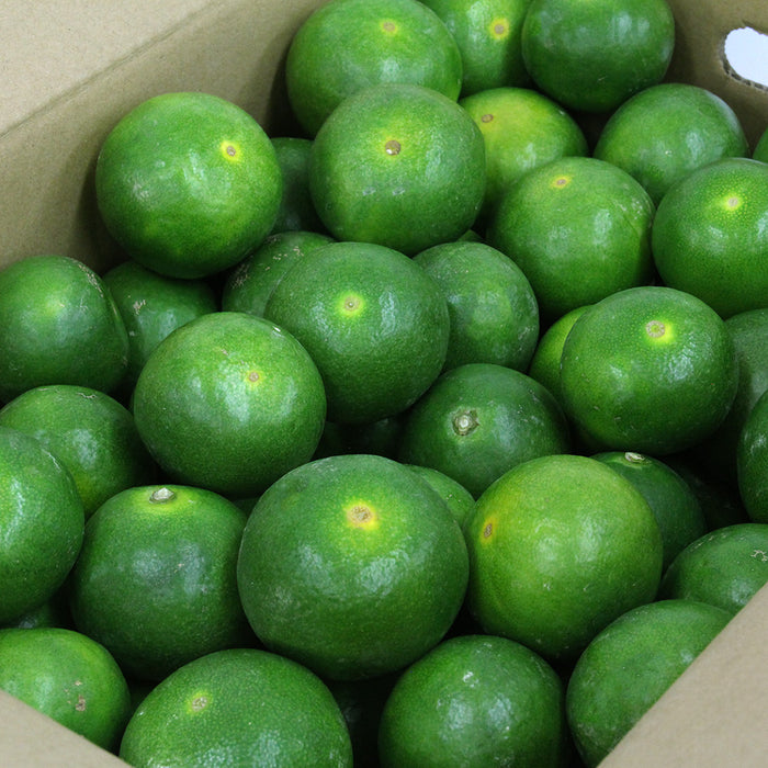 日々、真剣勝負のみかん農家が育てた 極早生みかん YN26 5kg【和歌山県有田川産】