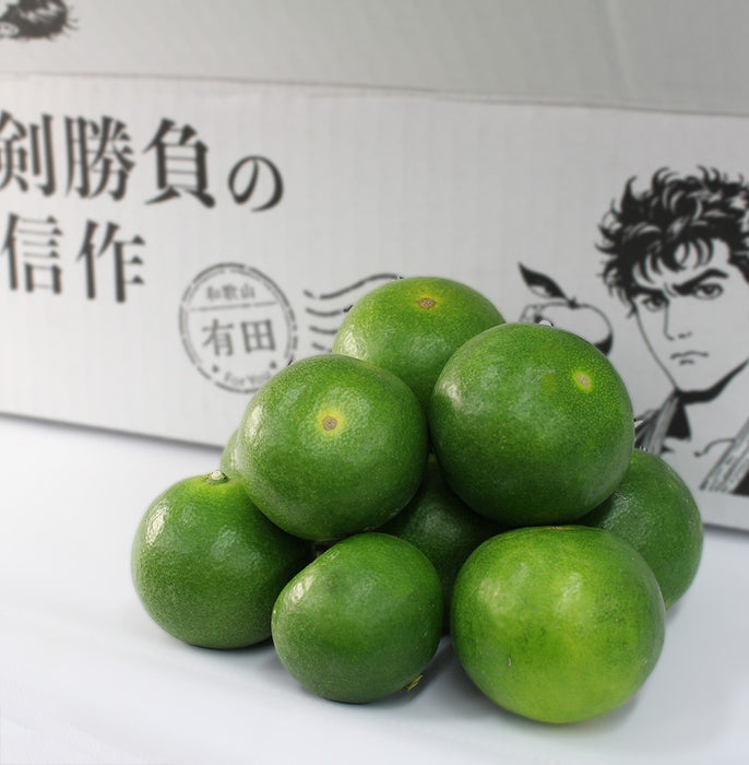 日々、真剣勝負のみかん農家が育てた 極早生みかん YN26 5kg【和歌山県有田川産】