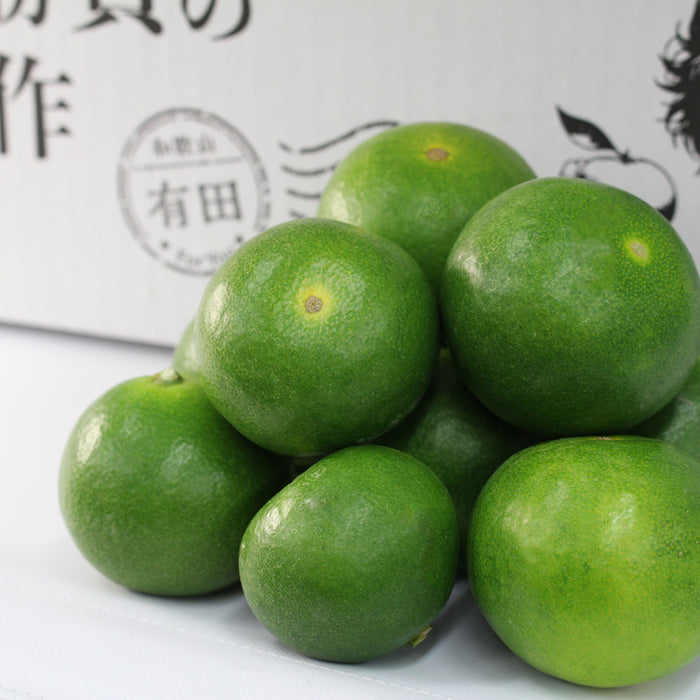 日々、真剣勝負のみかん農家が育てた 極早生みかん YN26 3kg【和歌山県有田川産】