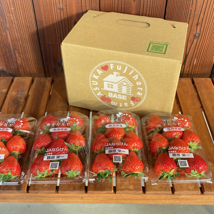 希少な赤い宝石　あすかルビー 1kg【奈良県明日香村産】