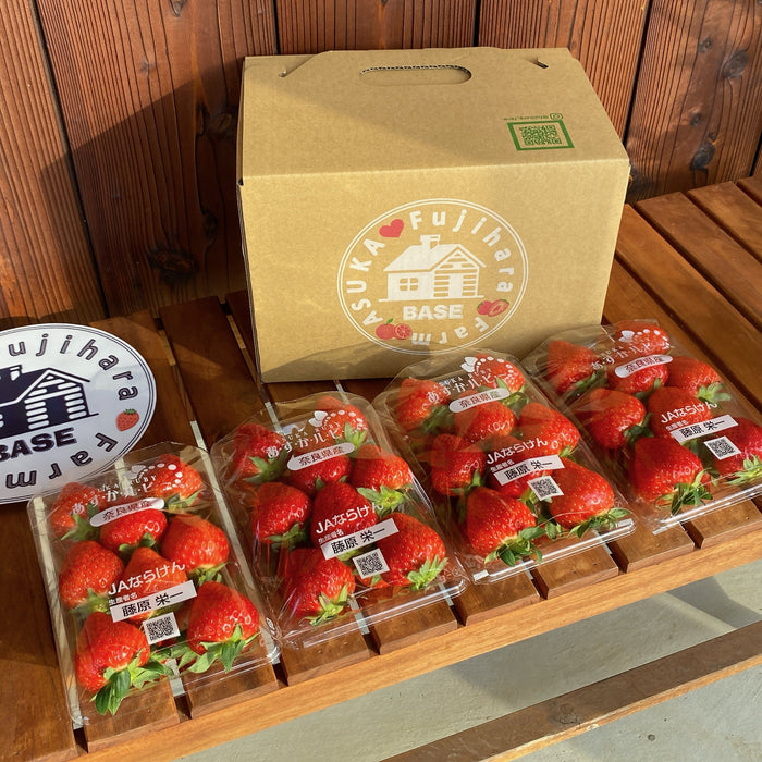 希少な赤い宝石　あすかルビー 1kg【奈良県明日香村産】