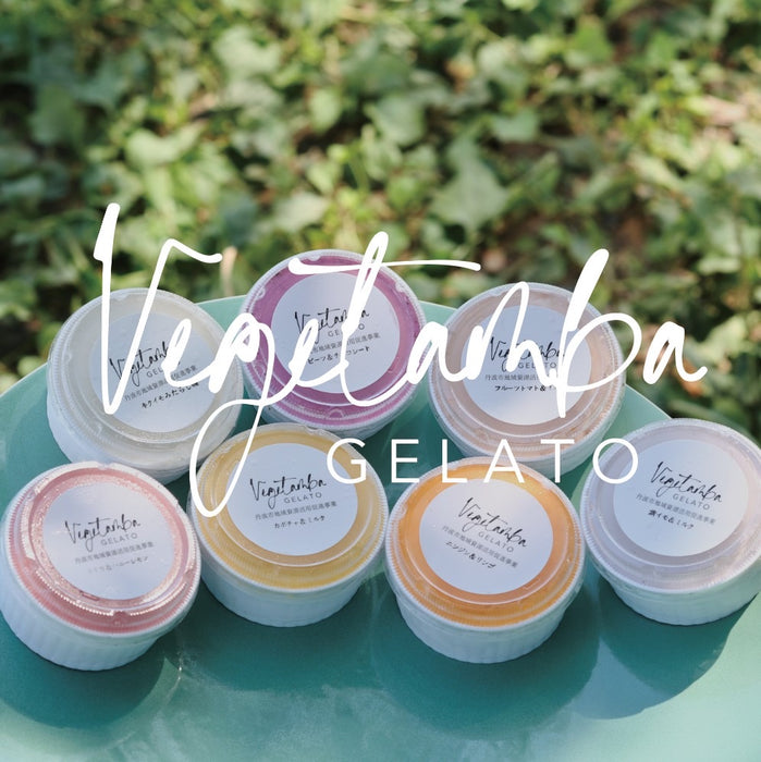 丹波産の野菜を使った自然派ジェラート お任せセット6個入り 化粧箱【兵庫県丹波産】