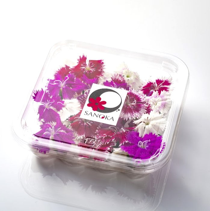 美食の演出エディブルフラワー SANOKA ナデシコ MIX【大阪府泉佐野産