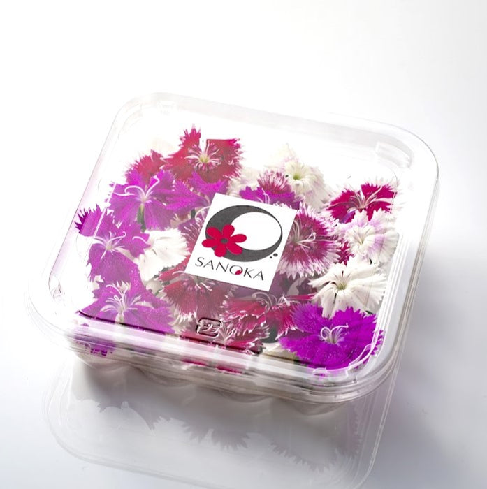 美食の演出エディブルフラワー　SANOKA ナデシコ MIX【大阪府泉佐野産】