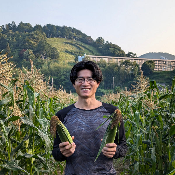 《予約販売 / 6月下旬発送》朝採れ直送、かじると果汁が弾ける とうもろこしプレミアム味来 5本【兵庫県佐用産】