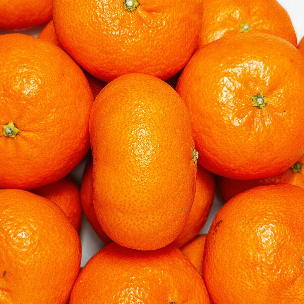 《秀品》高級贈答みかん 甘平 大玉 2L-5Lサイズ 2.5kg【愛媛県産】