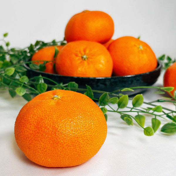 《秀品》高級贈答みかん 甘平 大玉 2L-5Lサイズ 2.5kg【愛媛県産】