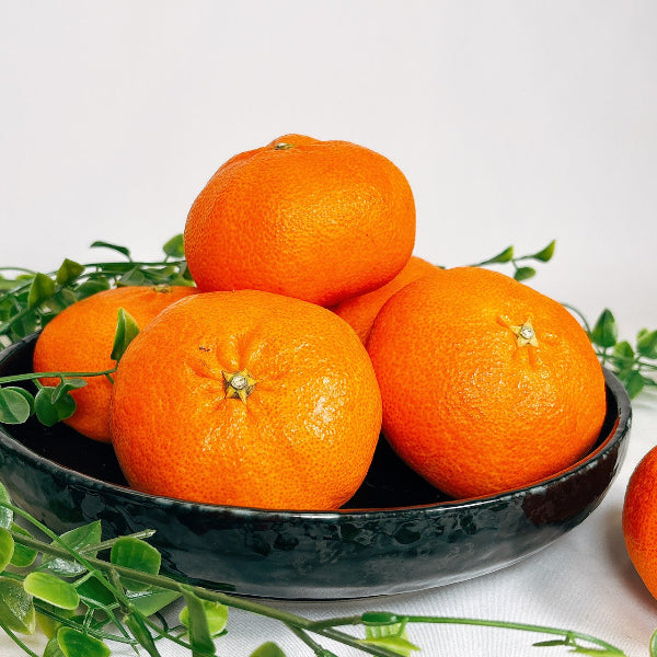 《秀品》高級贈答みかん 甘平 大玉 2L-5Lサイズ 2.5kg【愛媛県産】