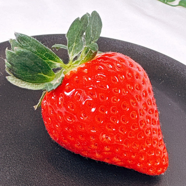 岐阜県の主力オリジナル品種 大粒苺　美濃娘 4パック【岐阜県産】