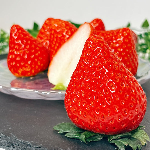 岐阜県の主力オリジナル品種 大粒苺　美濃娘 4パック【岐阜県産】