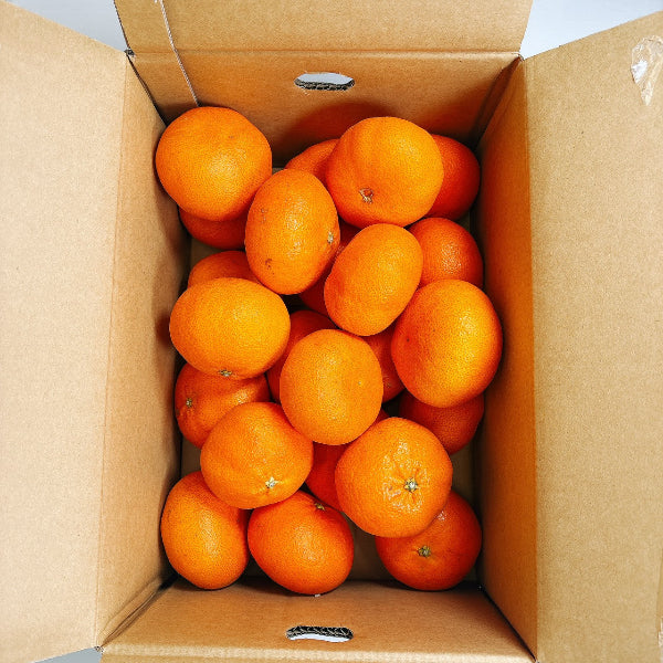 《秀品》高級贈答みかん 甘平 大玉 2L-5Lサイズ 2.5kg【愛媛県産】