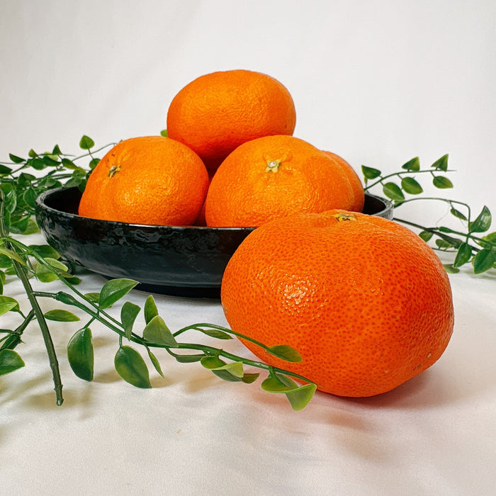 《秀品》高級贈答みかん 甘平 大玉 2L-5Lサイズ 2.5kg【愛媛県産】