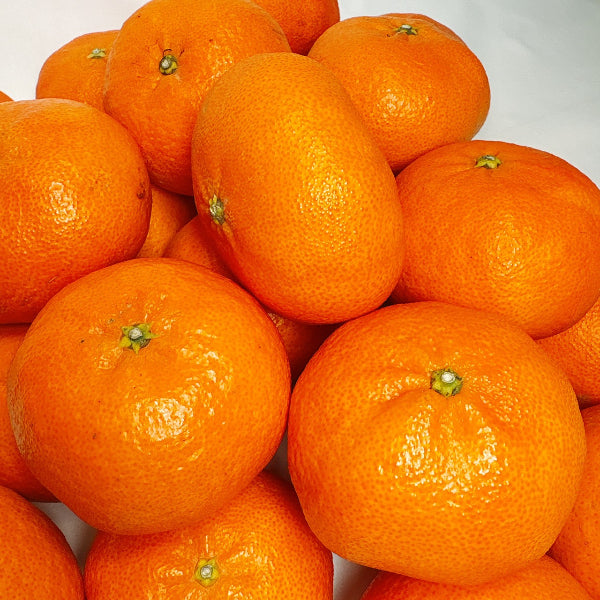 《秀品》高級贈答みかん 甘平 大玉 2L-5Lサイズ 2.5kg【愛媛県産】