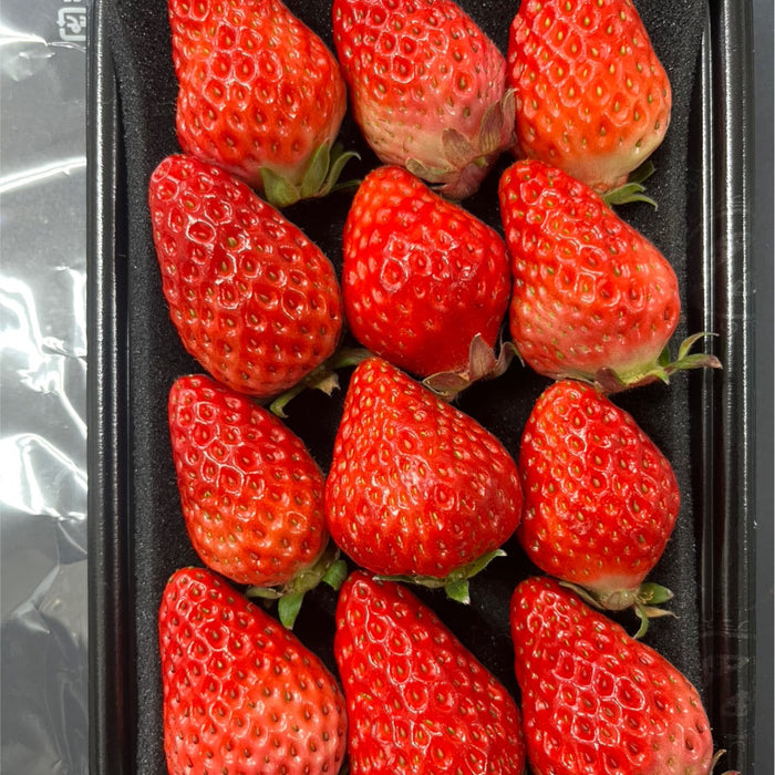 八ヶ岳の麓で採れた 紅ほっぺ 約200g×４パック入り【長野県産】