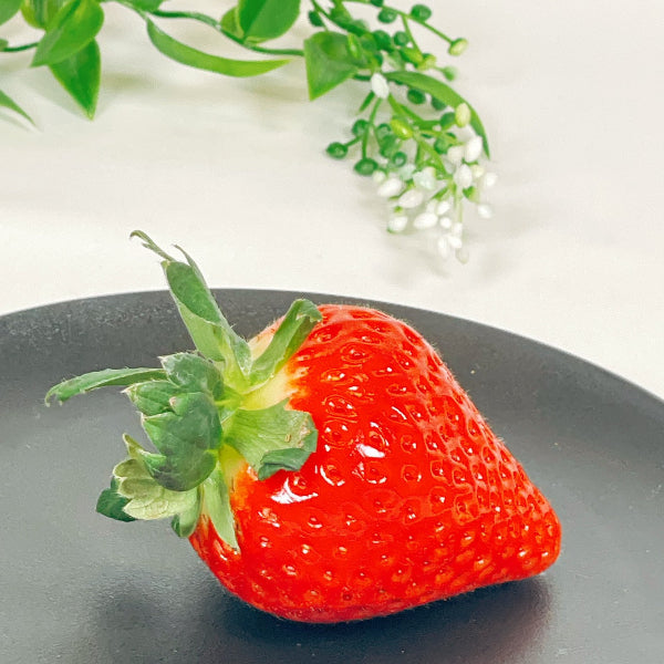 岐阜県の主力オリジナル品種 大粒苺　美濃娘 4パック【岐阜県産】