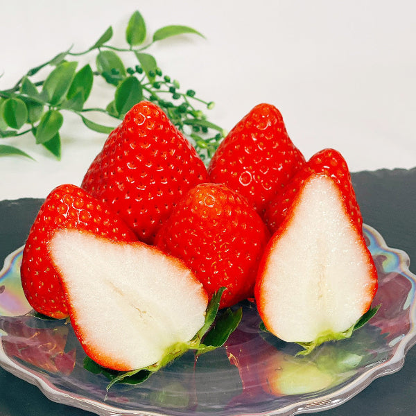 岐阜県の主力オリジナル品種 大粒苺　美濃娘 4パック【岐阜県産】