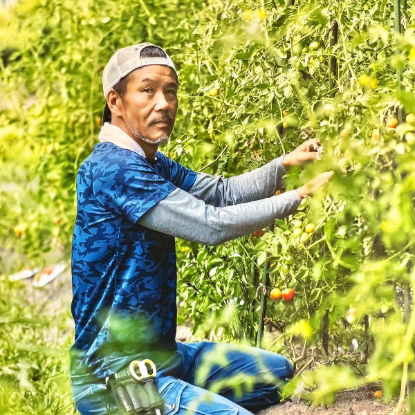 丹波産の野菜を使った自然派ジェラート 丹波栗＆黒枝豆の丹波名産セット 6個入り  化粧箱【兵庫県丹波産】