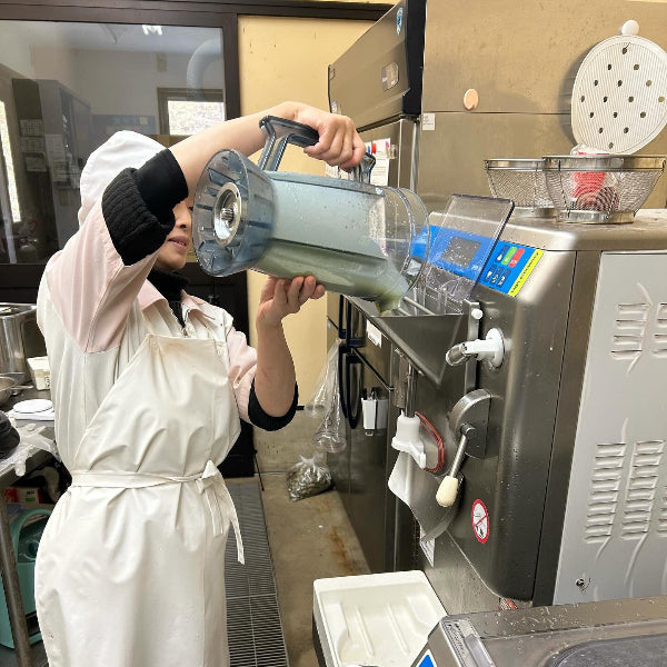 丹波産の野菜を使った自然派ジェラート 丹波栗＆黒枝豆の丹波名産セット 6個入り  化粧箱【兵庫県丹波産】