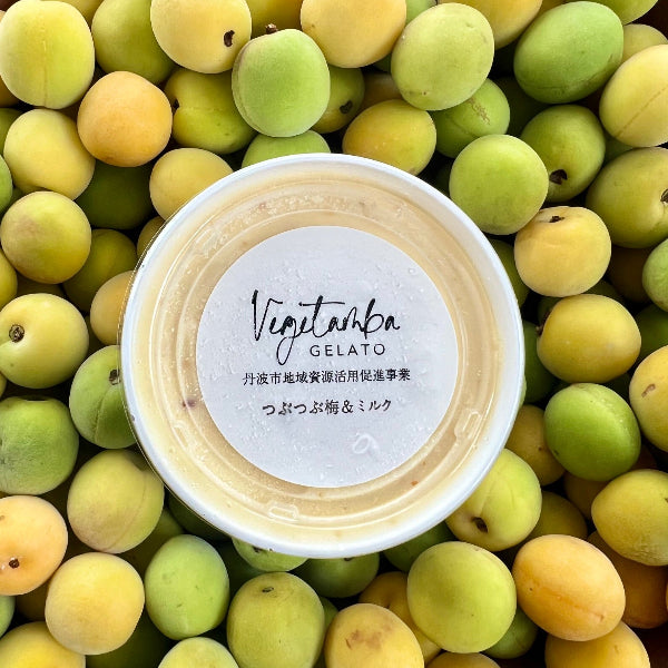 丹波産の野菜を使った自然派ジェラート お任せセット6個入り 化粧箱【兵庫県丹波産】