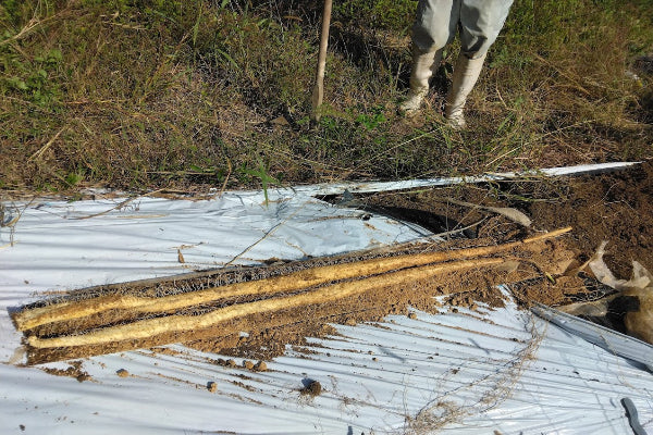 ポニーの里ファーム