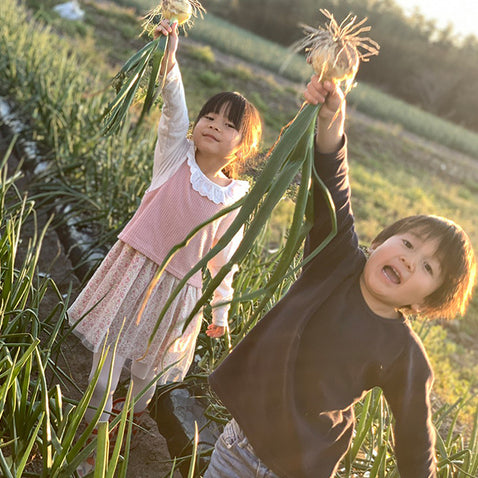 《予約販売 / 3月下旬発送予定》ひょうご安心ブランド認証　淡路島新たまねぎ　3kg【兵庫県淡路島産】
