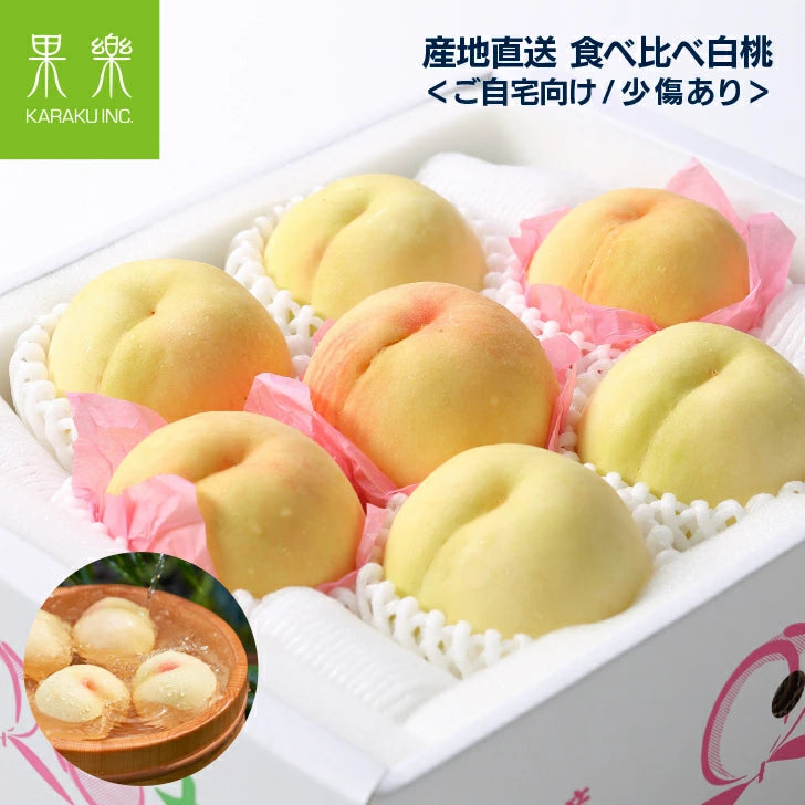【人気ランキング用】果物