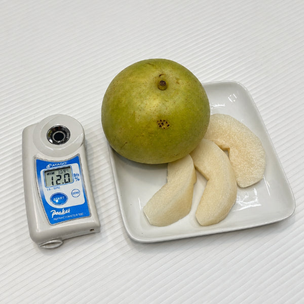 訳あり さわやかな酸味と上品な甘み 豊富な果汁が魅力の二十世紀5Kg 10-24玉【鳥取県産】