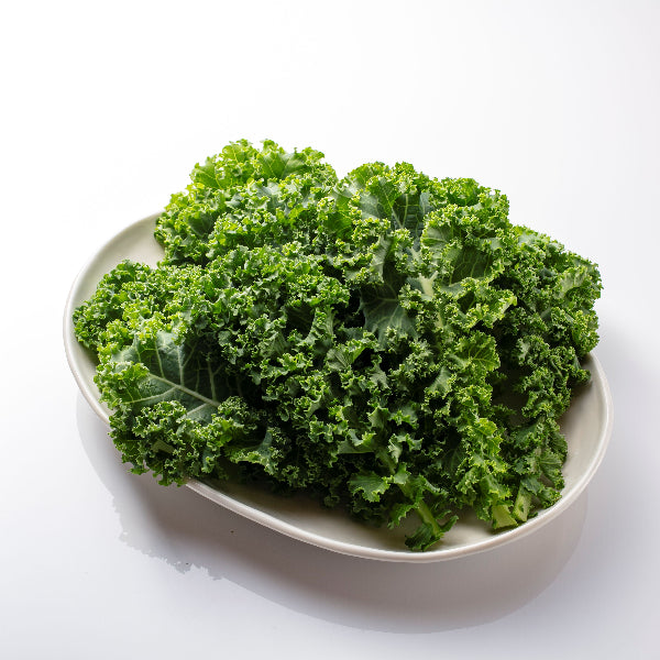 えぐみを超えた、やさしさ。毎日続く贅沢習慣 王さまケール 1.2kg【大阪府泉佐野産】