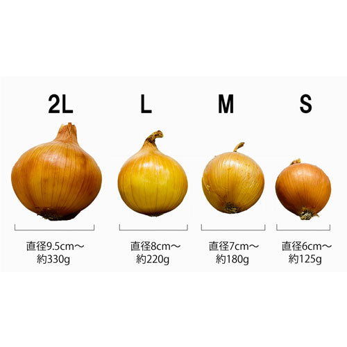 《予約販売 / 6月上旬発送予定》淡路島玉ねぎ “いくたま” Sサイズ 1.8kg【兵庫県淡路島産】