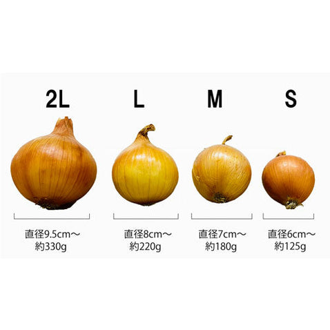 淡路島玉ねぎ “いくたま”10kg【兵庫県淡路島産】