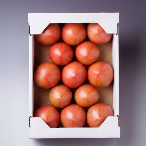 あわじ島グルメトマト®　プロも惚れ込む極上の味！甘みと酸味の黄金比・トマト職人三谷さんの採れたての「ルネッサンストマト」 1kg【兵庫県淡路島産】