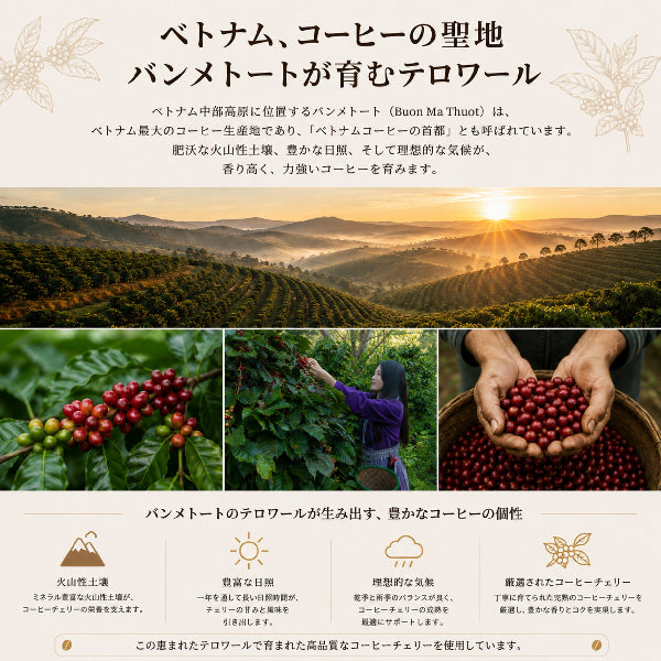 姫路珈琲物語　浅煎りインスタントコーヒー50g【ベトナム産】