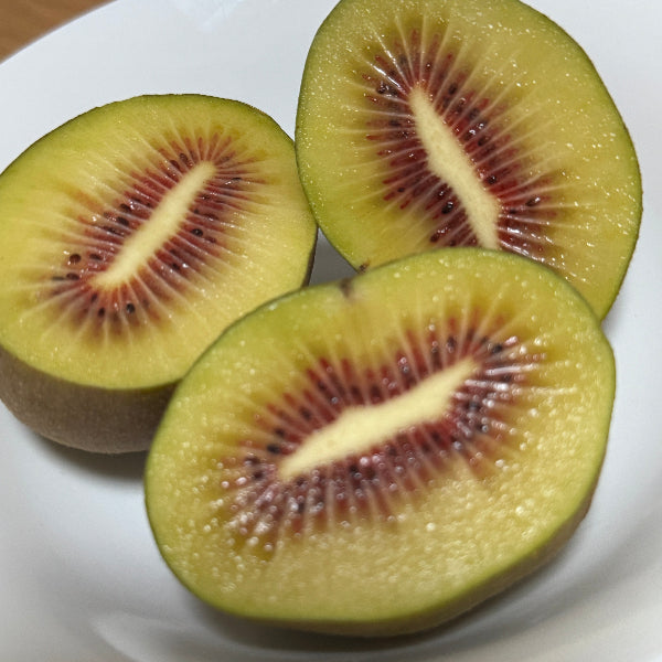 中上さん家の紅珊瑚（いちご）キウイ　【奈良県五條産】