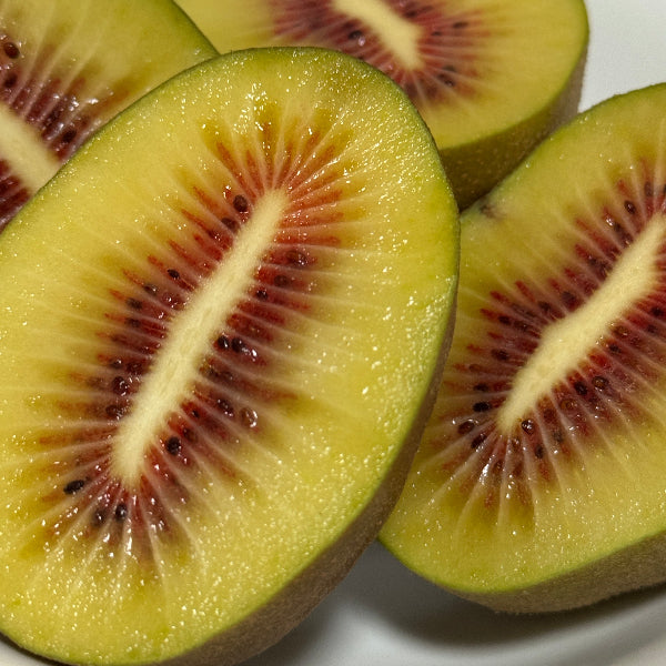 中上さん家の紅珊瑚（いちご）キウイ　【奈良県五條産】