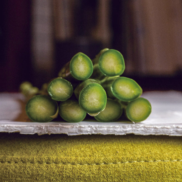 噂のアスパラガス　さぬきのめざめ　1㎏【香川県三豊産】