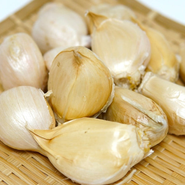 無農薬栽培 匂いが少ない 無臭にんにく マイルドな風味の 大山ジャンボにんにくバラ 粒がほぐれた状態 2kg【鳥取県大山産】