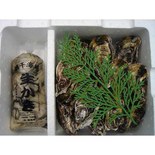 《予約販売》山の恵みと海の香りが織りなす極上の味わい！むき身0.5kg 殻付き真牡蠣 2kg　牡蛎ナイフ＆軍手付【兵庫県播磨灘産】