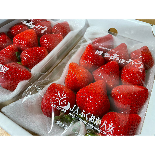 濃厚な甘味で一度食べたら忘れられない大粒苺 あまおう  秀品 2パック【福岡県博多産】