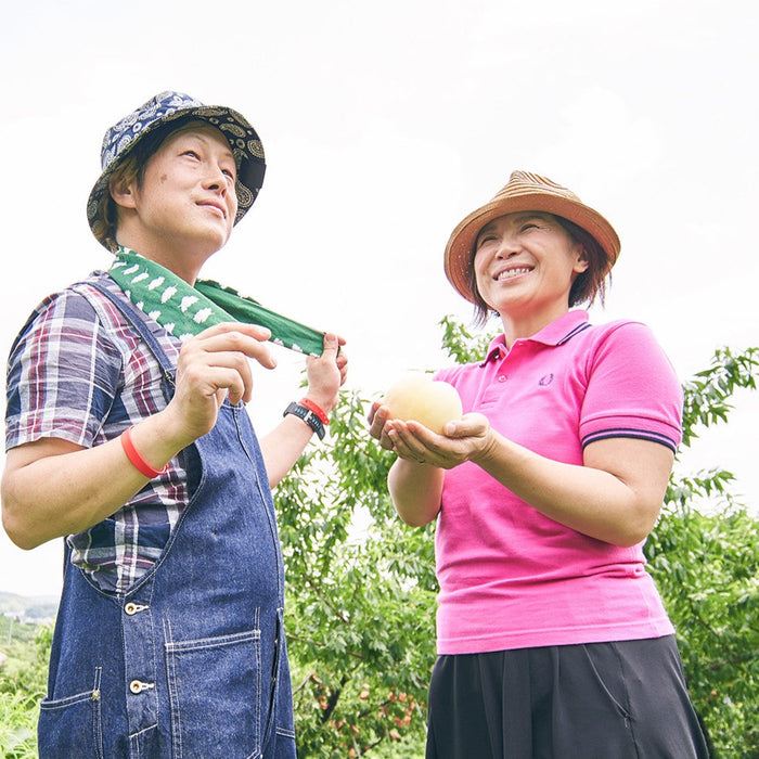 《ご自宅用》くだもの王国おかやまの甘さが広がる白桃 1kg【岡山県倉敷産】