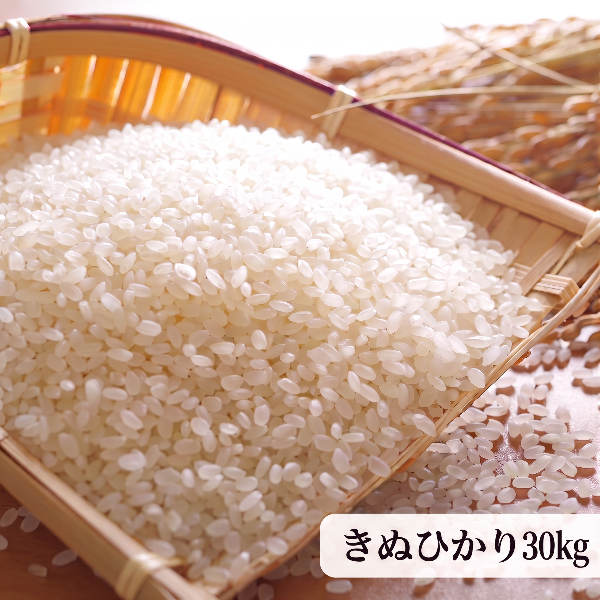 《予約販売 / 9月中旬発送予定》《減農薬》《令和8年度産》淡路島米 きぬひかり厳選栽培 淡路島の豊かな大地が育てた美味しいお米30kg【兵庫県南あわじ産】