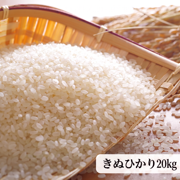 《予約販売 / 9月中旬発送予定》《減農薬》《令和8年度産》淡路島米 きぬひかり厳選栽培 淡路島の豊かな大地が育てた美味しいお米20kg【兵庫県南あわじ産】