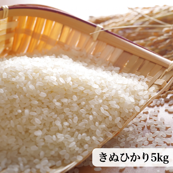 《予約販売 / 9月中旬発送予定》《減農薬》《令和8年度産》淡路島米 きぬひかり厳選栽培 淡路島の豊かな大地が育てた美味しいお米5kg【兵庫県南あわじ産】