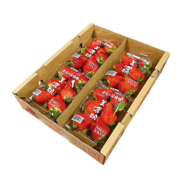 岐阜県の主力オリジナル品種 大粒苺　美濃娘 4パック【岐阜県産】