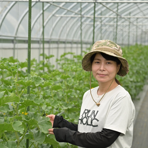 芳醇な香りととろける甘さのアールスメロン 1玉【奈良県吉野産】