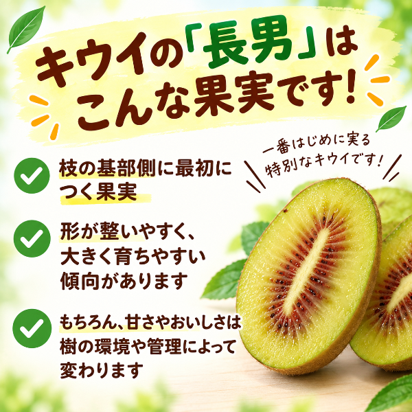 《予約販売 / 12月中旬発送予定》中上さん家のキウイ　本当に数量限定でしか採れない「長男キウイ」の紅珊瑚（いちご）キウイ　【奈良県五條産】