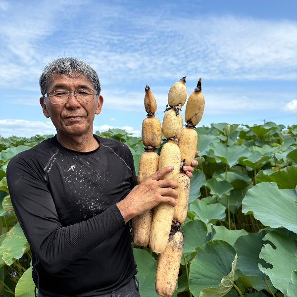 シャキッともっちり甘い 桃太郎れんこん 3kg【岡山県岡山産】