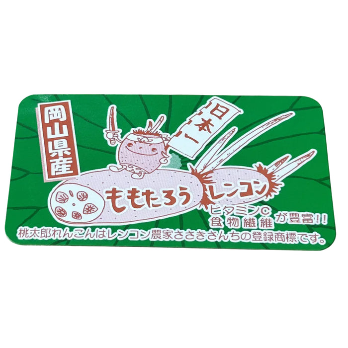 シャキッともっちり甘い 桃太郎れんこん 3kg【岡山県岡山産】