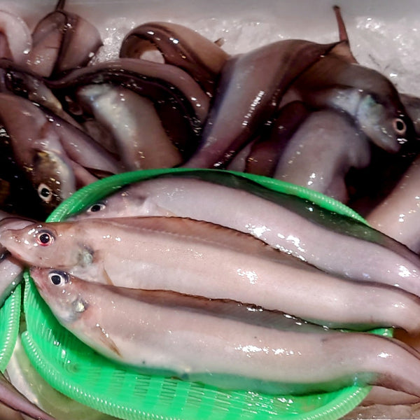 天然醸造 麹のちからで熟成させた魚醤　麹の魚醤 ゲンゲ 100ml【兵庫県香住産】